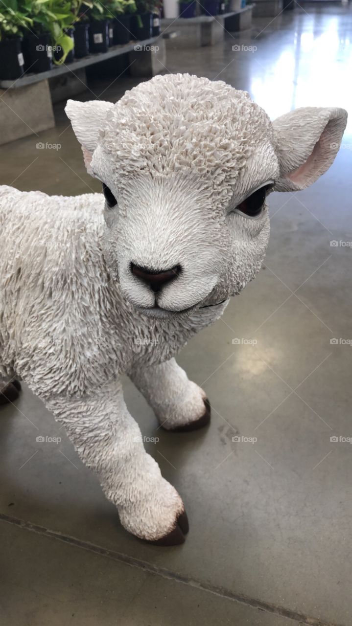 Statue of a lamb