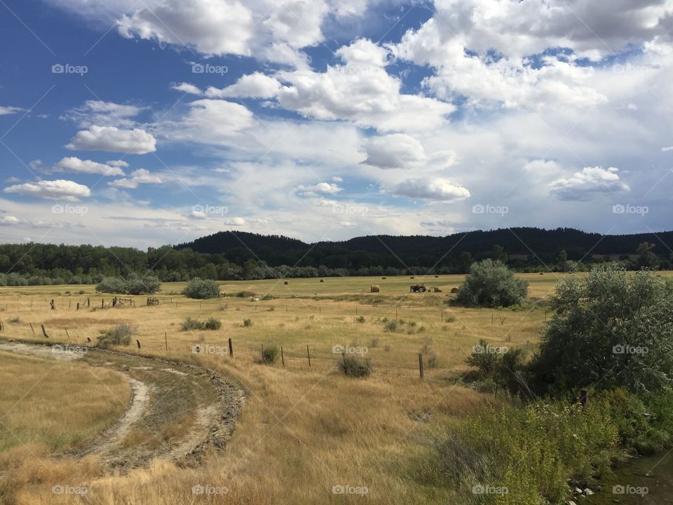 Landscape, No Person, Sky, Nature, Agriculture