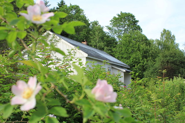 A white house on a summers day