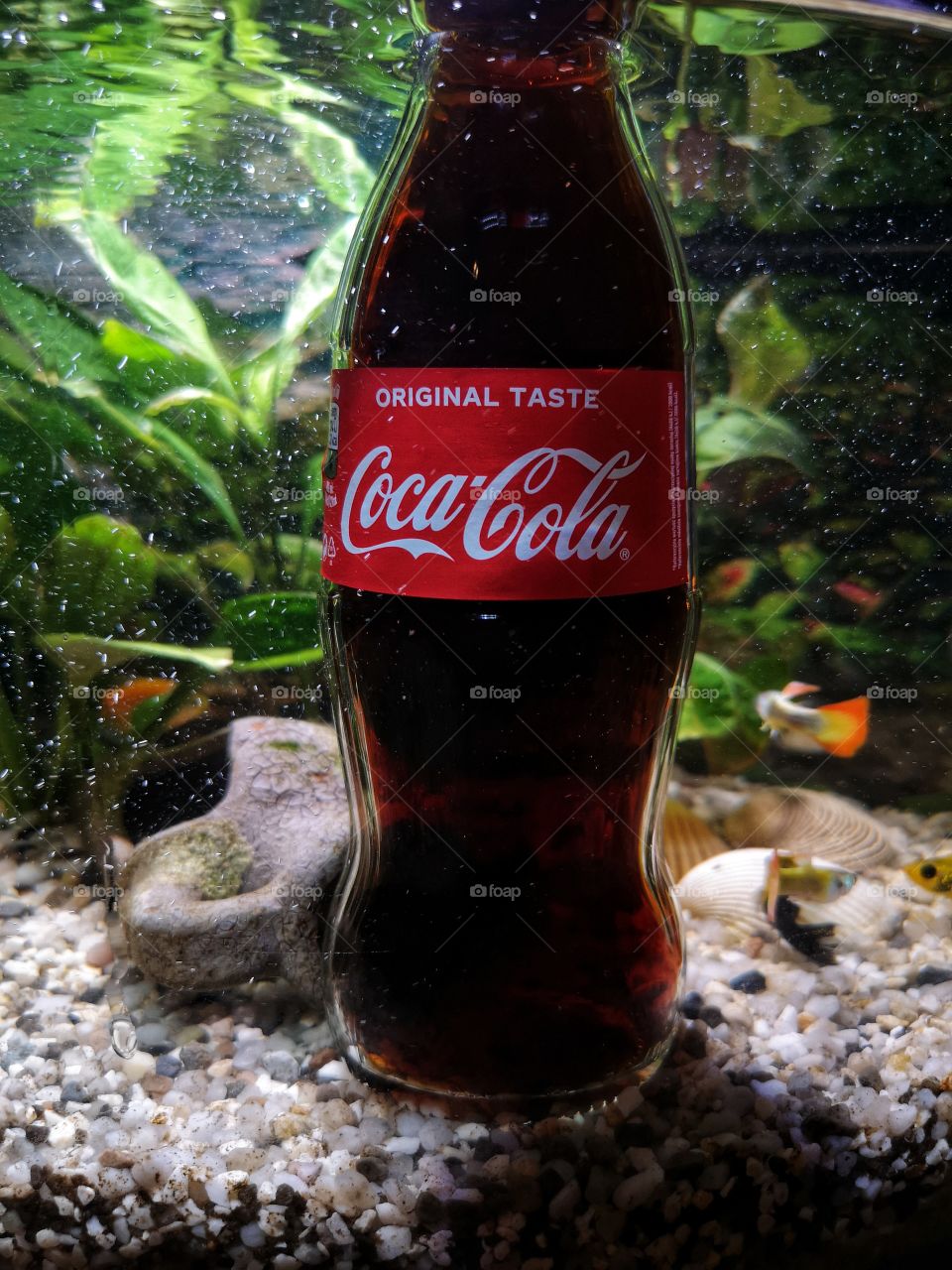 Coca - Cola in Aquarium