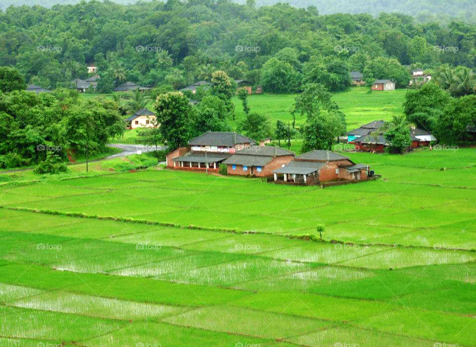 Green village in India