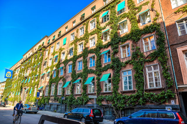ivy facade Malmo