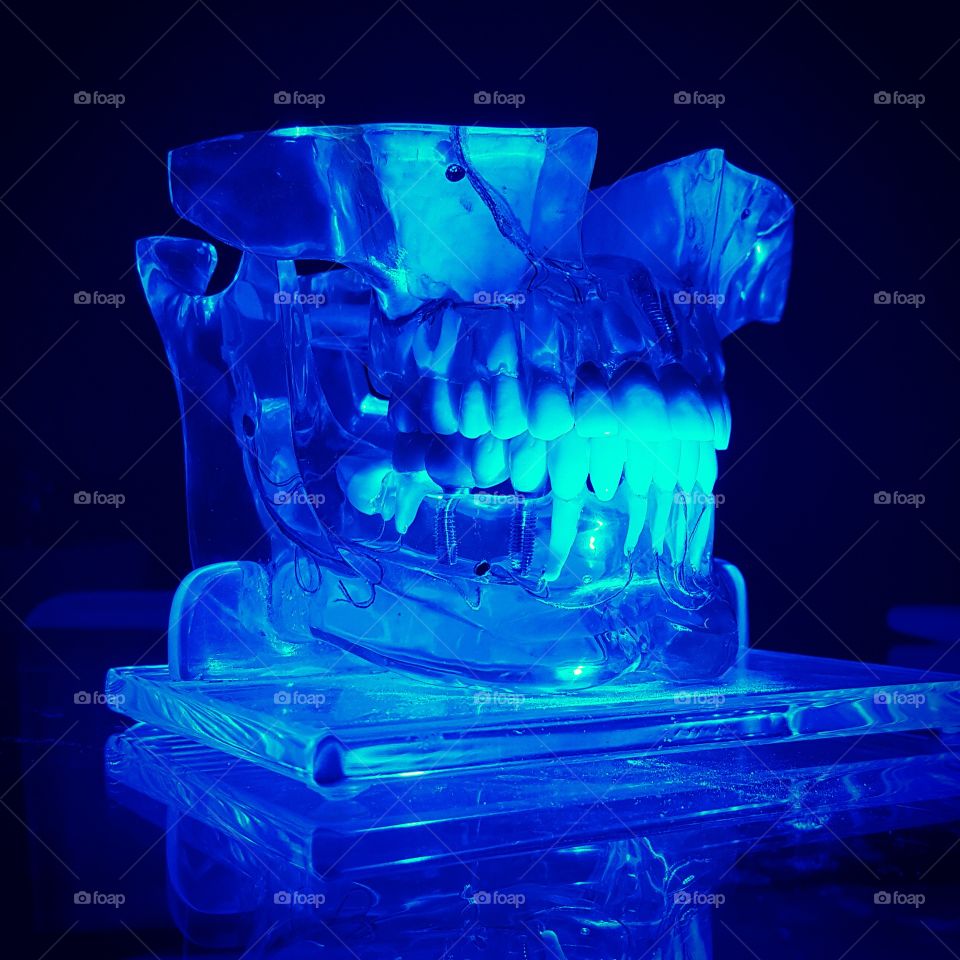orthodont