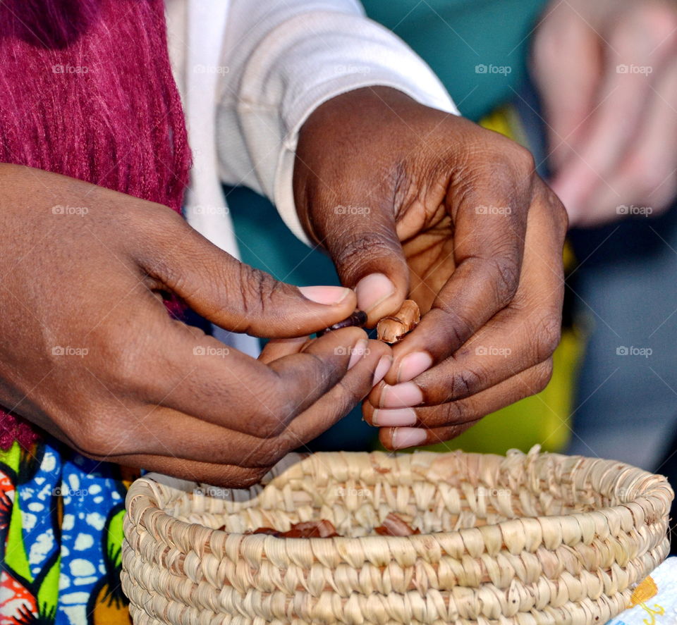 Person peeling the cocoa beans