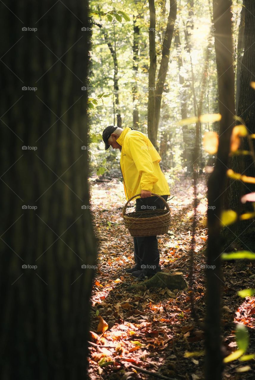 Old man in yellow jacket at autumn colored forest