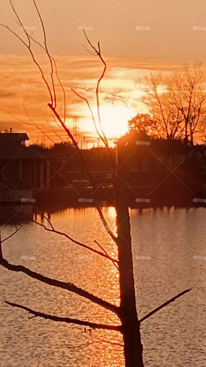 Sunsetting sun rays evening Glow of Color. Peaceful, calm, cool, reflections From Landscape trees. Horizon Clouds Sun’d Glow Splitting With Cloud Formations. Beautiful, Gorgeous, Captivating