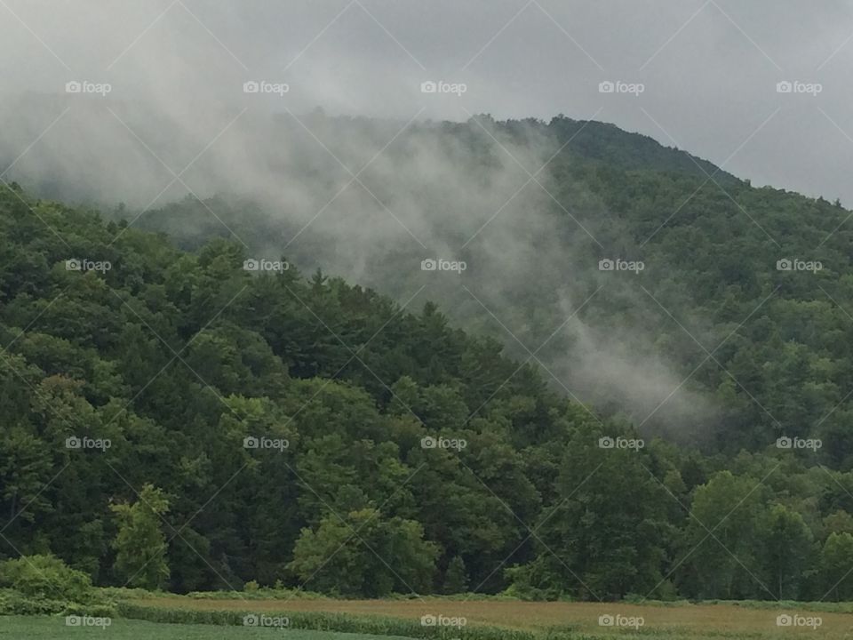 Mountain fog
