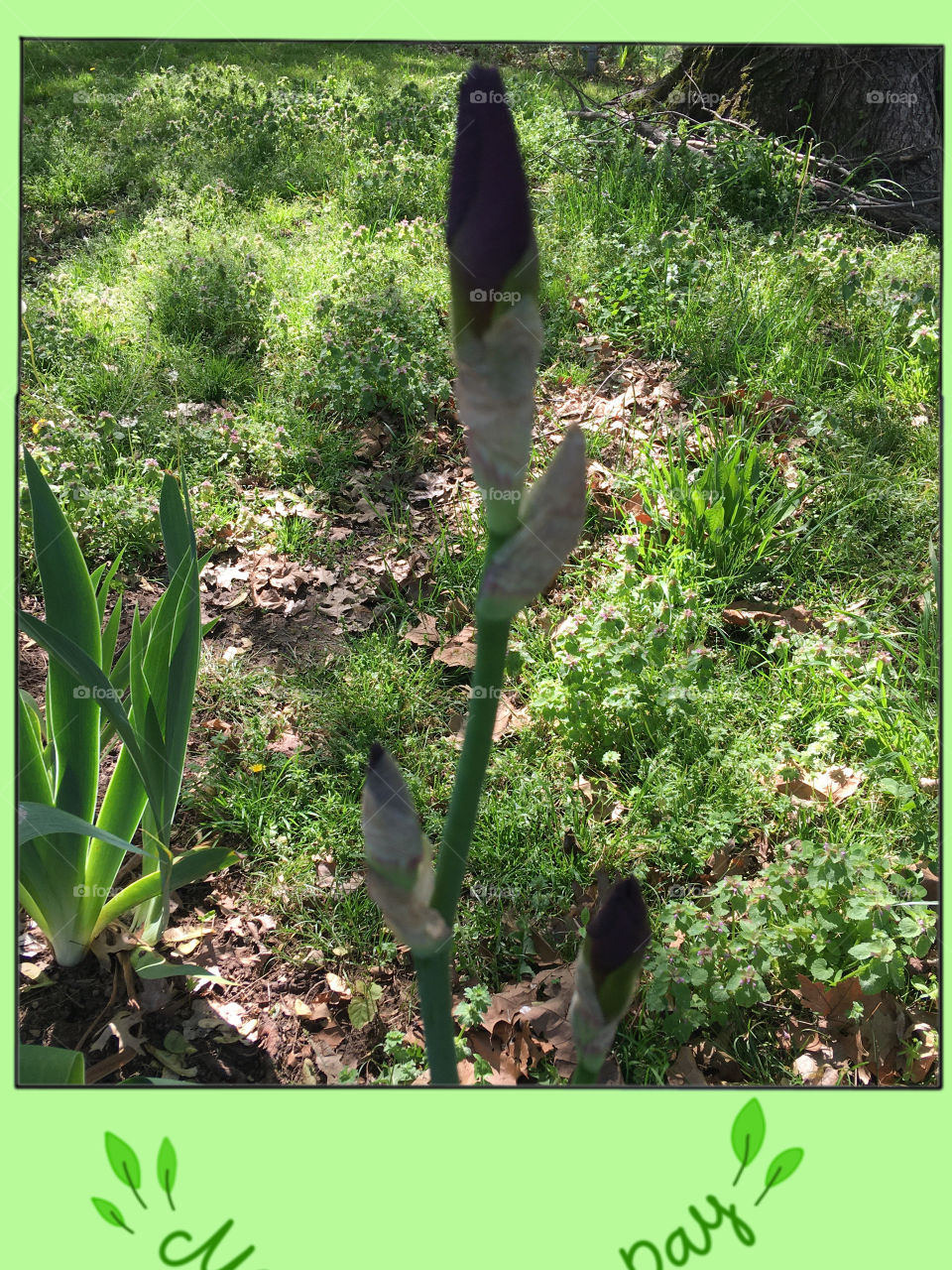 This is how I exercise during the Covid19 and earth day, make today count and be productive.