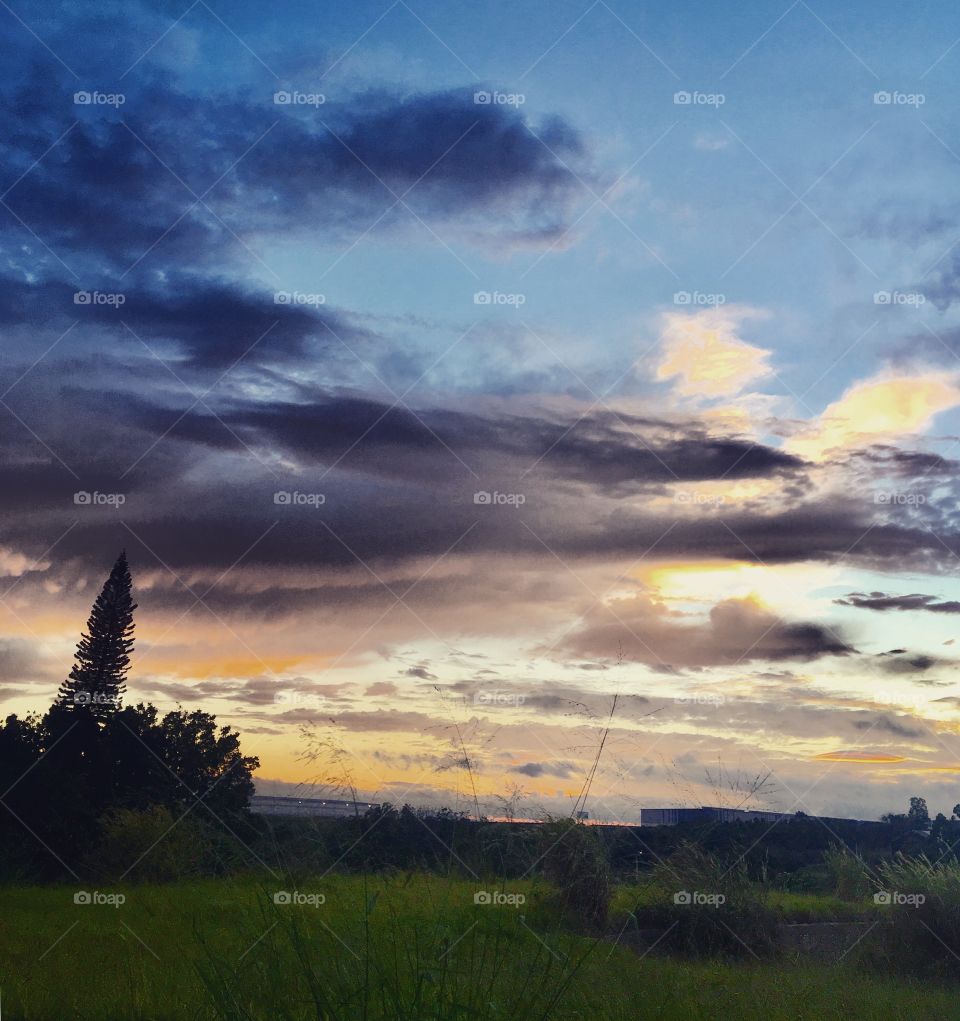 🌅Desperte, #Jundiaí. 
Ótima #QuintaFeira para todos nós!
🍃
#sol #sun #sky #céu #photo #nature #morning #alvorada #natureza #horizonte #fotografia #pictureoftheday #paisagem #inspiração #amanhecer #mobgraphy #mobgrafia #AmoJundiaí