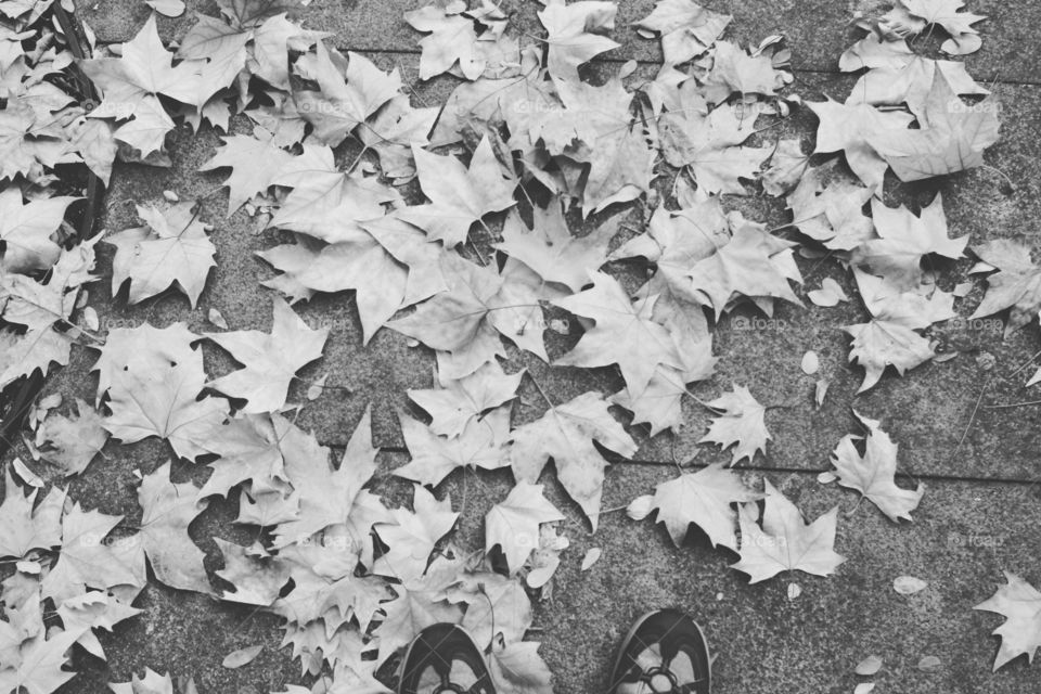 Feet and leafs