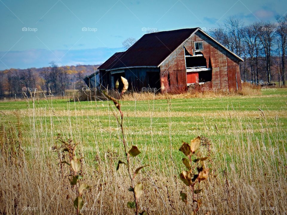 barn