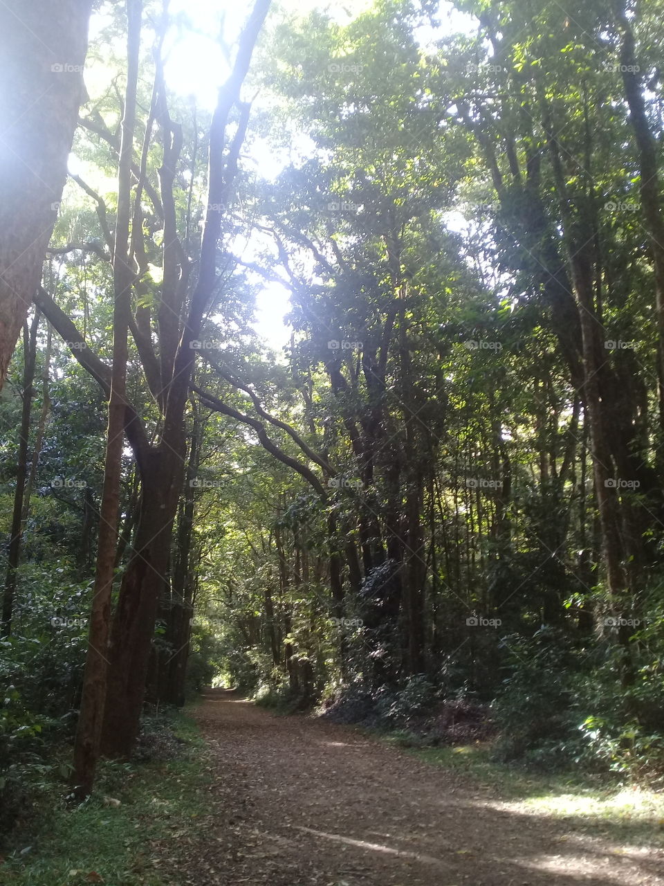 Trail park in Brazil