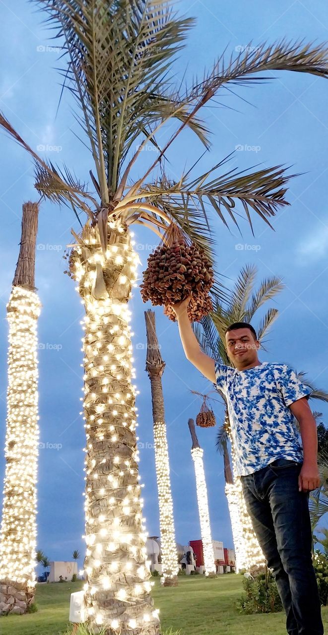 Fruitful palm 🌴👍