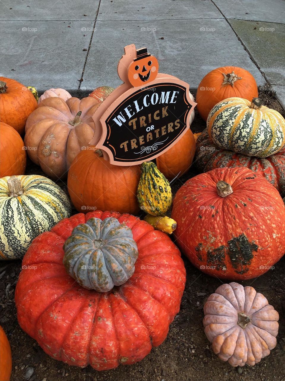 Assortment of pumpkins 