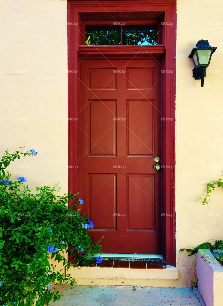 Brown Door