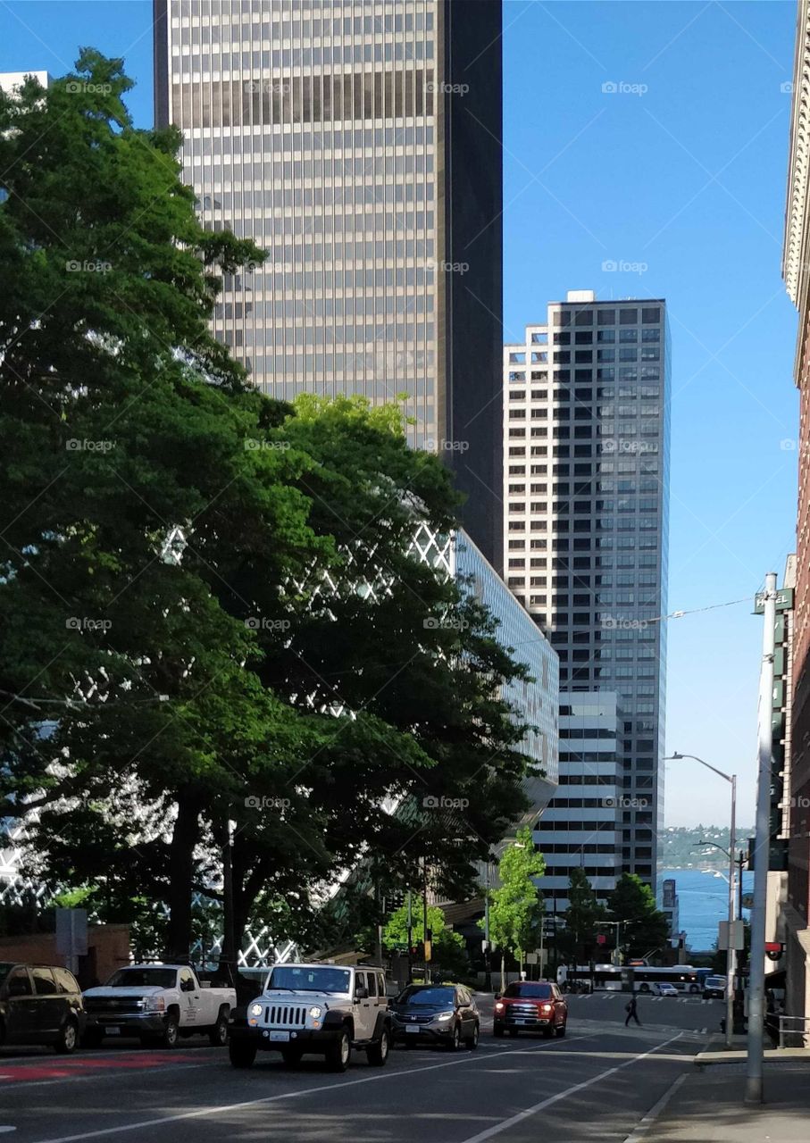 Street view, Seattle, WA