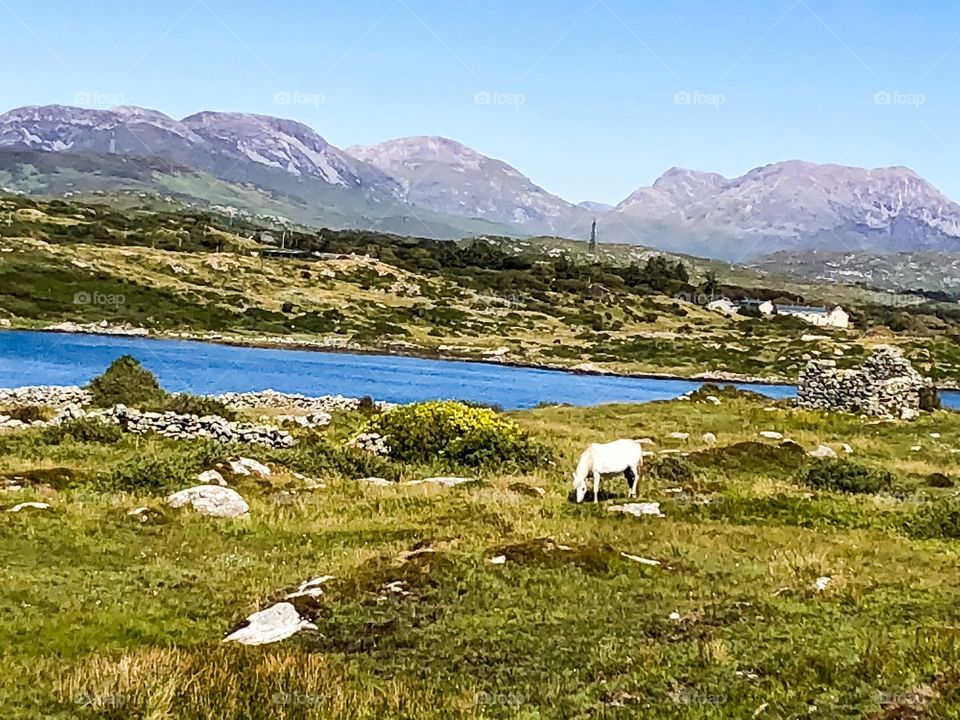 Connemara Landscape