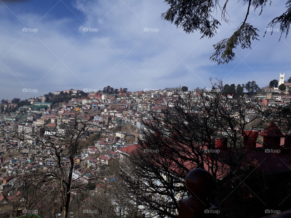 Shimla