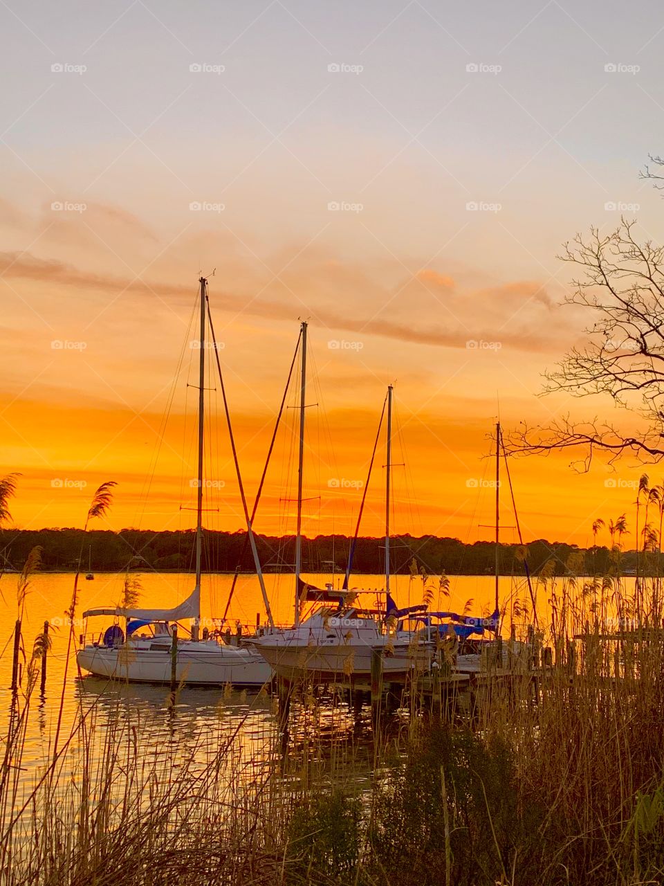 I took it with my phone! Two sailboats with their high masts raised are moored at the dock during the awesome sunset