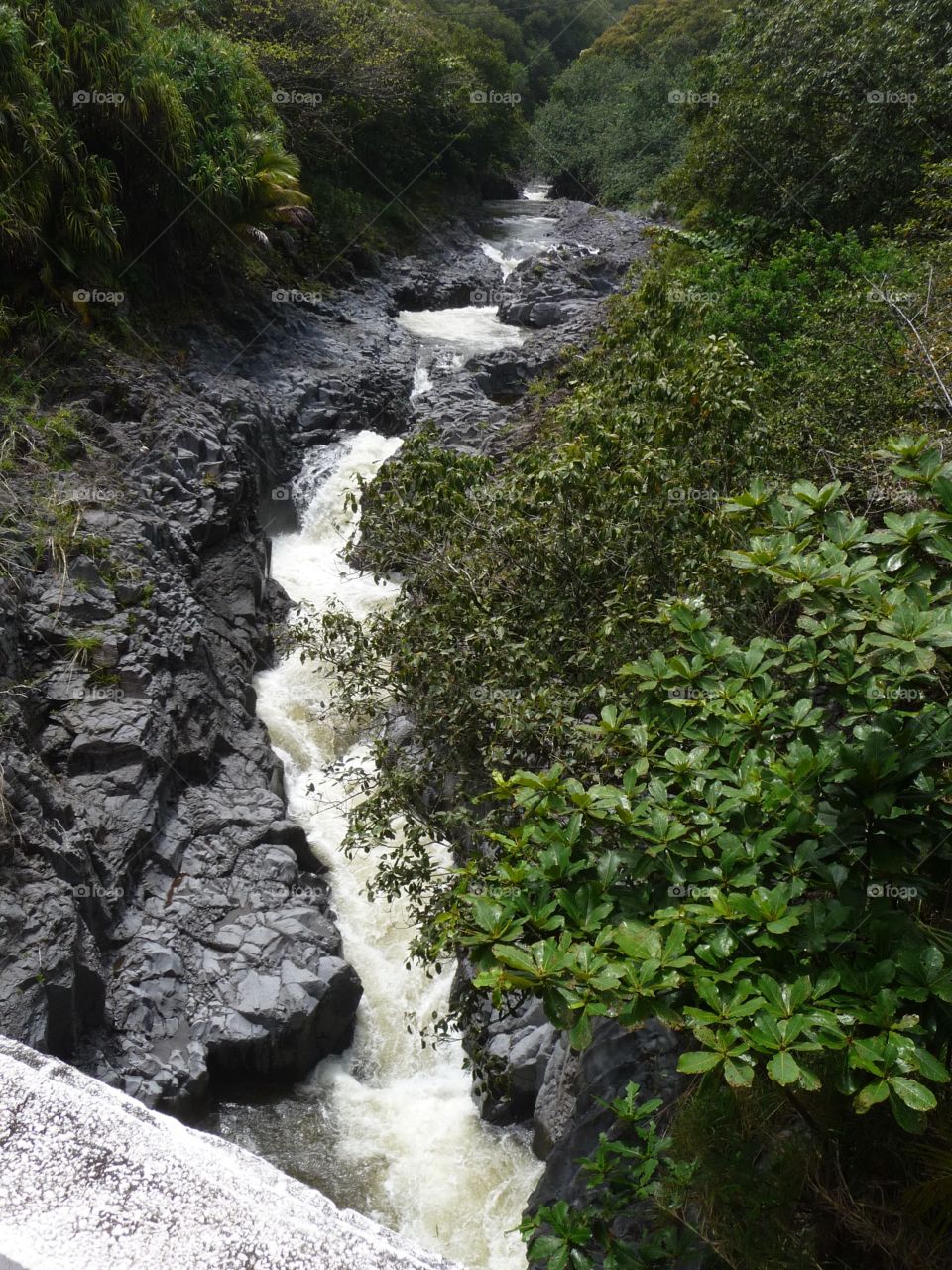 Maui, Hawaii 