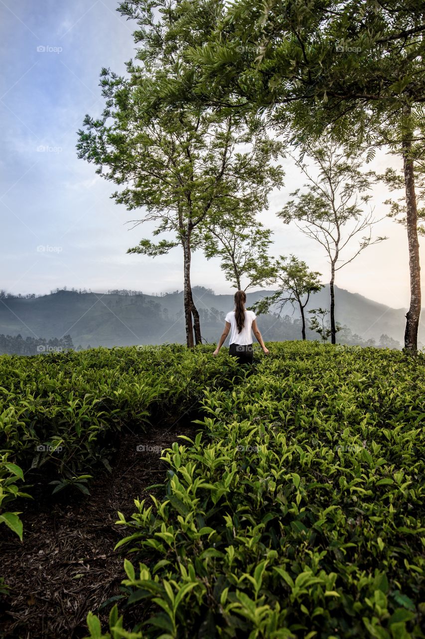 Exploring one of the highest tea plantations in the world in Munar 