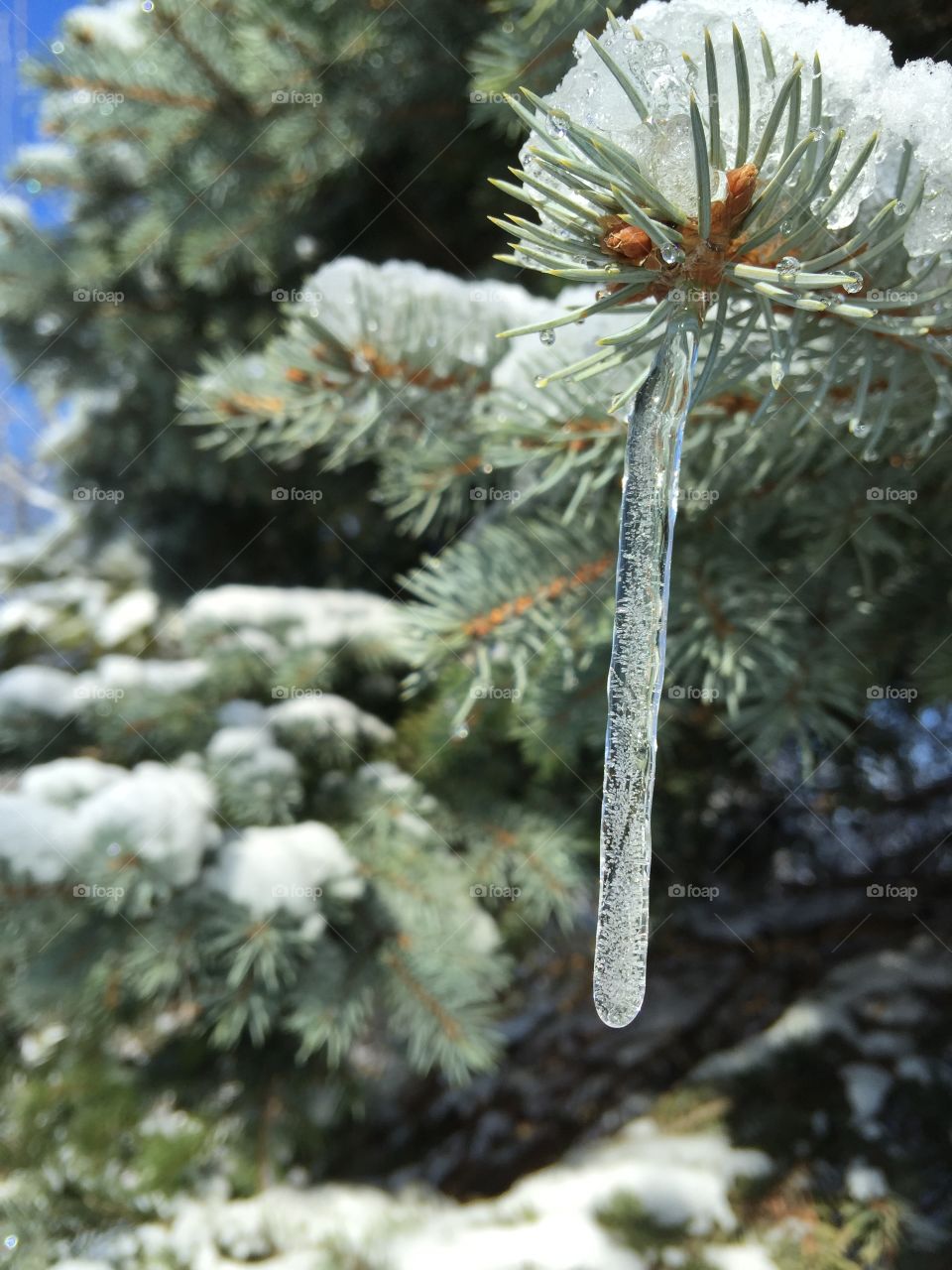 Winter Wonderland in November 