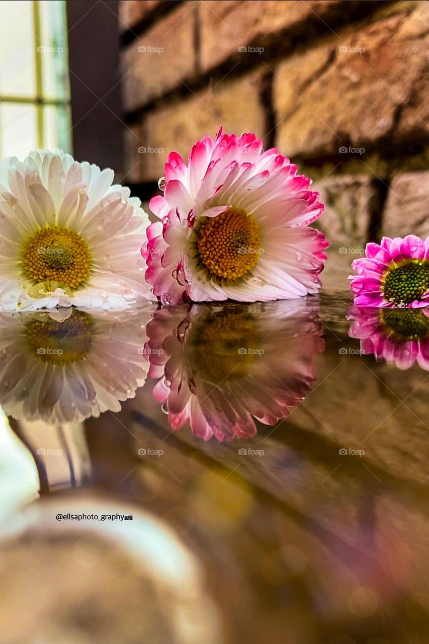 Flowers reflection after rain !