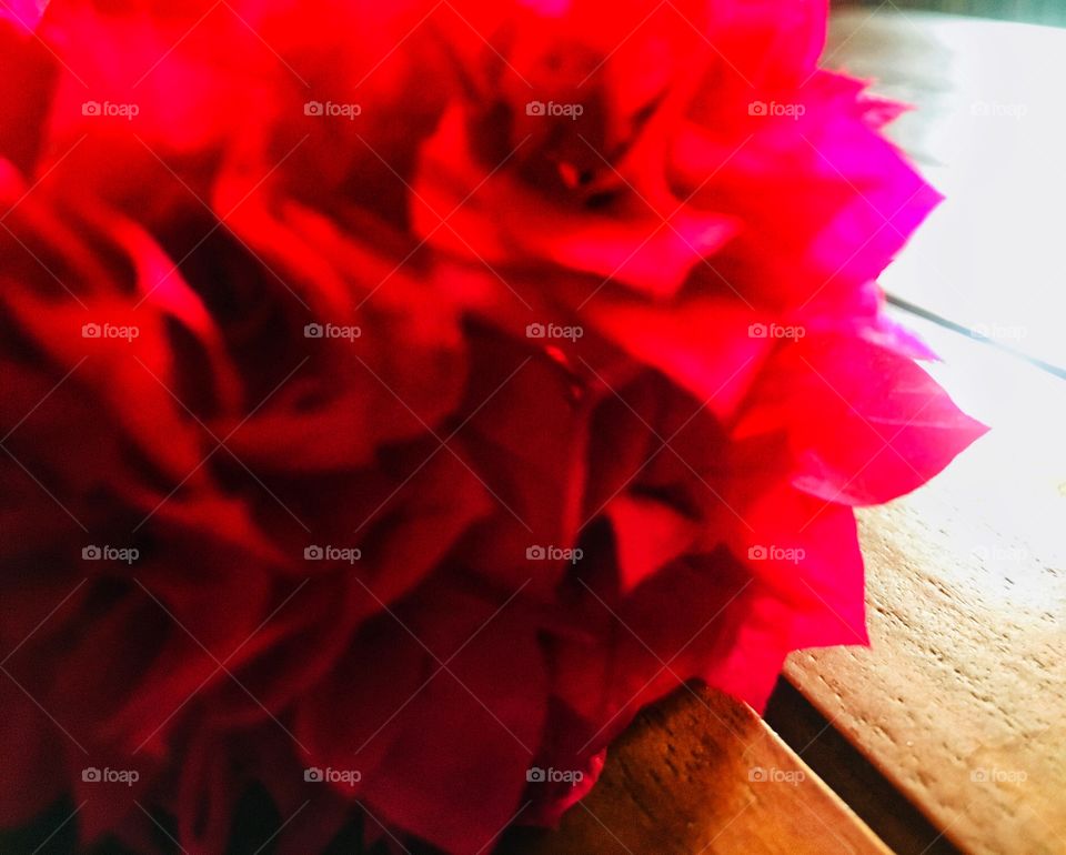 The Red flower look nice in wooden texture