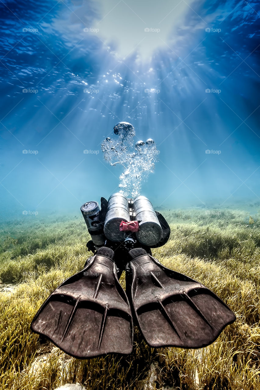 Scuba divers exploring the underwater landscape