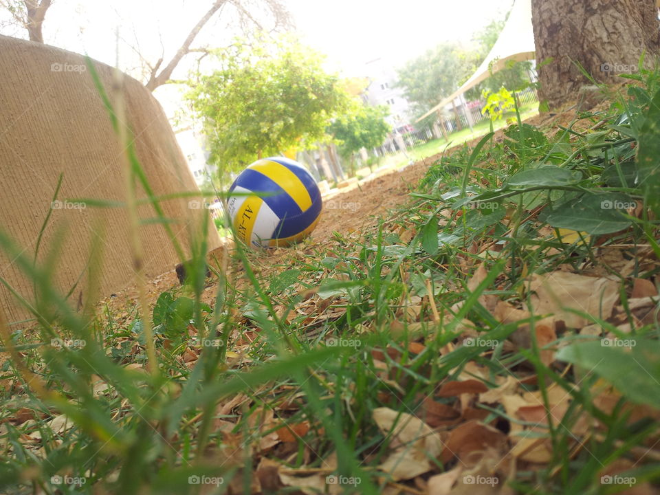 Playing volleyball in the park