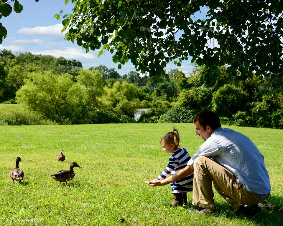 feeding the ducks. daddy and daughter feeding local duck's