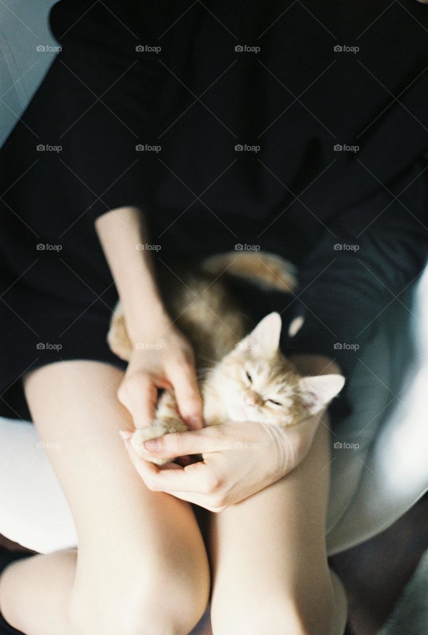 Girl in black dress sitting on the white chair holding a Red-headed kitten