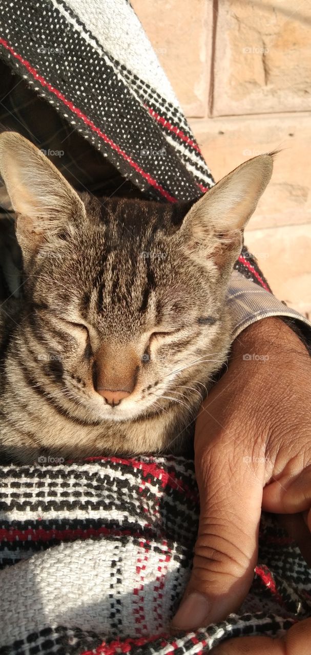 Having a good😍😋 relationship with animal🐈🐱 can change your 😸way of thinking😊😀