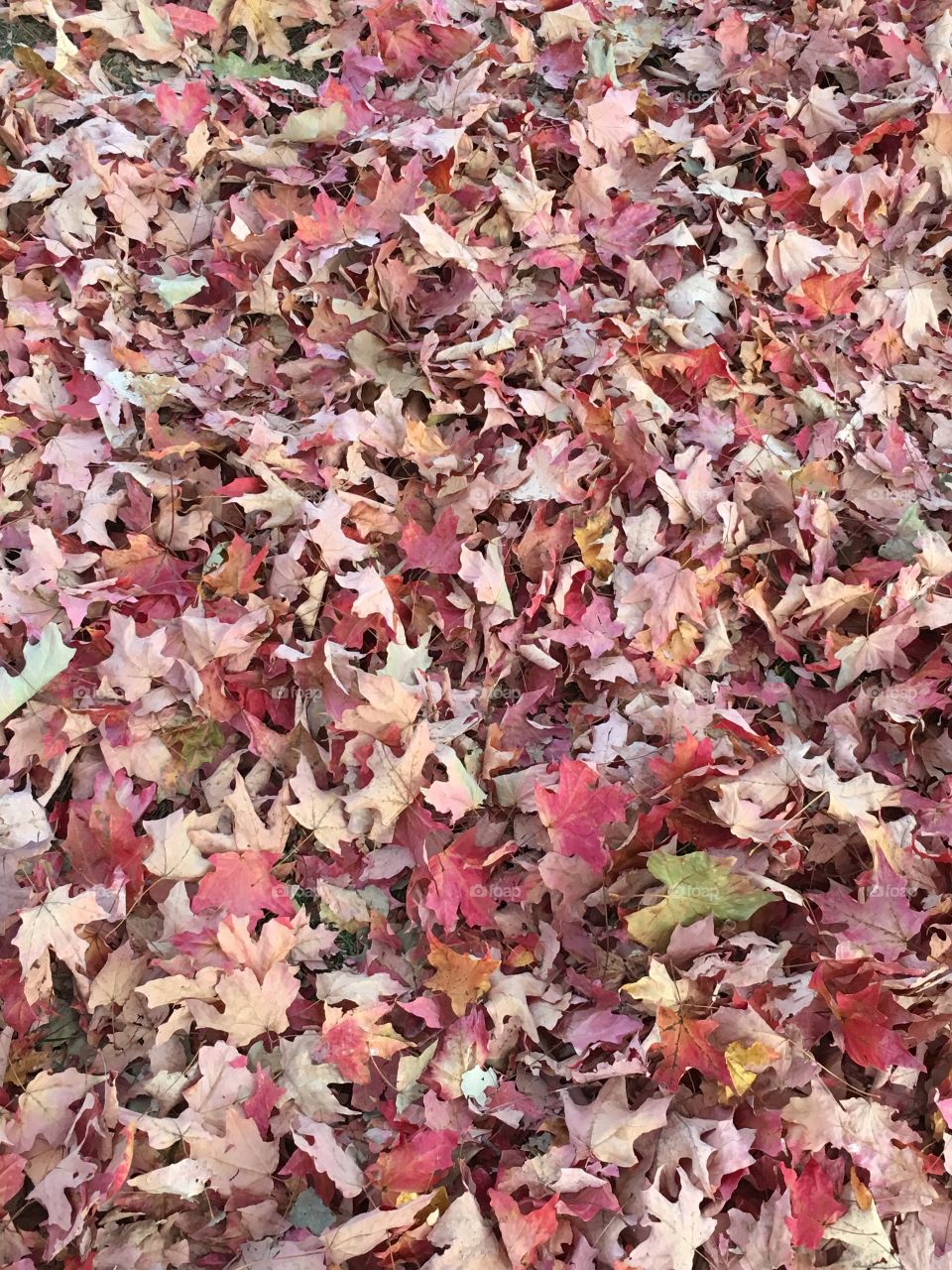 Leaves at 6 pm