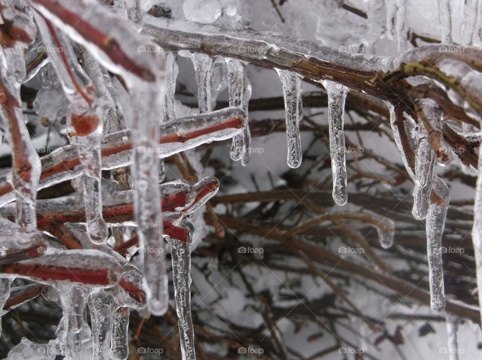 Drippy Icicles