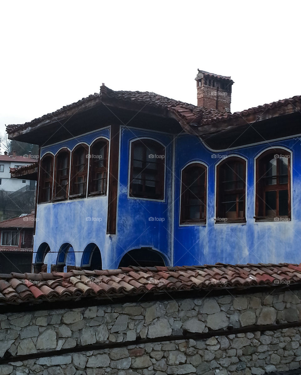Blue House