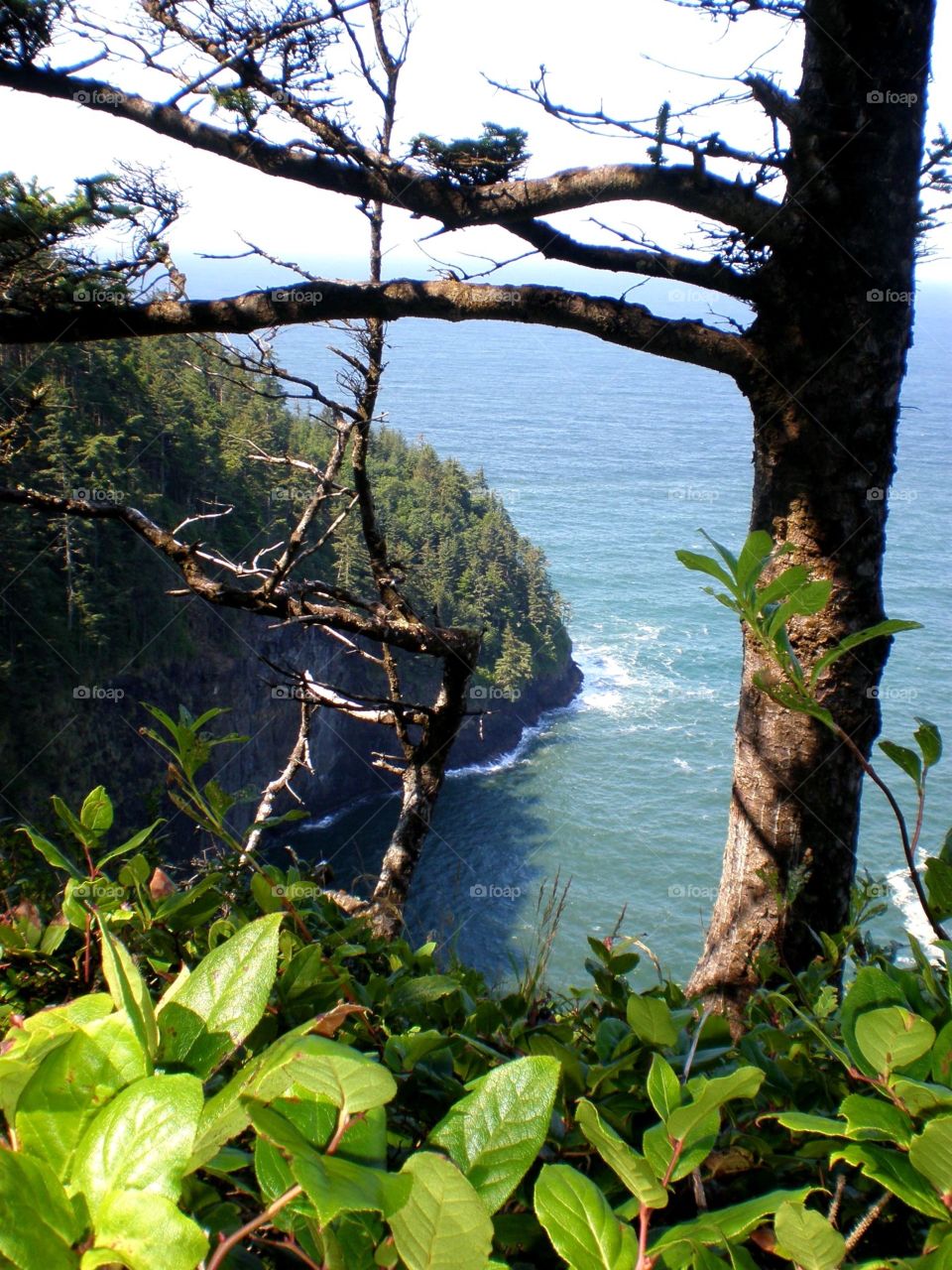 Oregon coast
