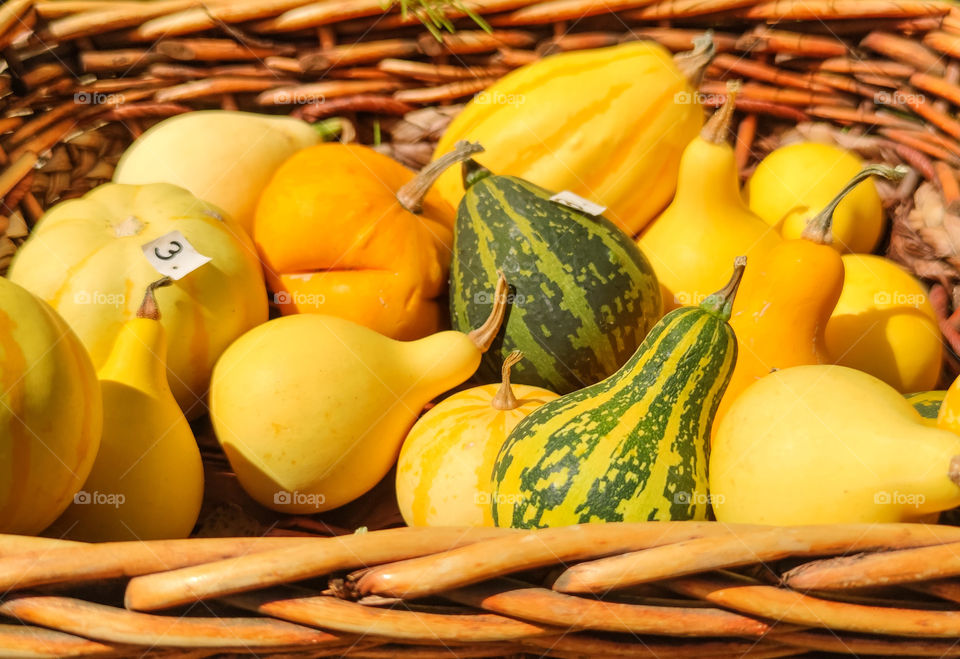 Natural pumpkin decoration in a variety of coloration