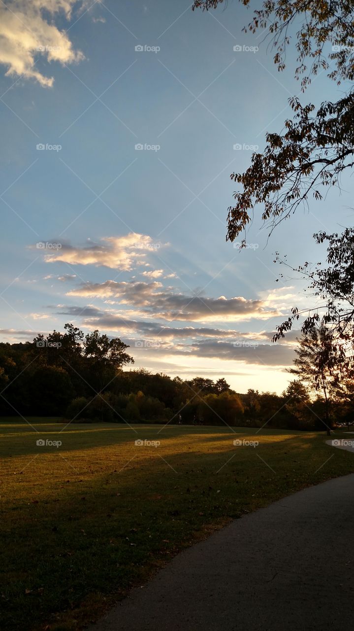 The view of the sky in the early evening from our walk in the park