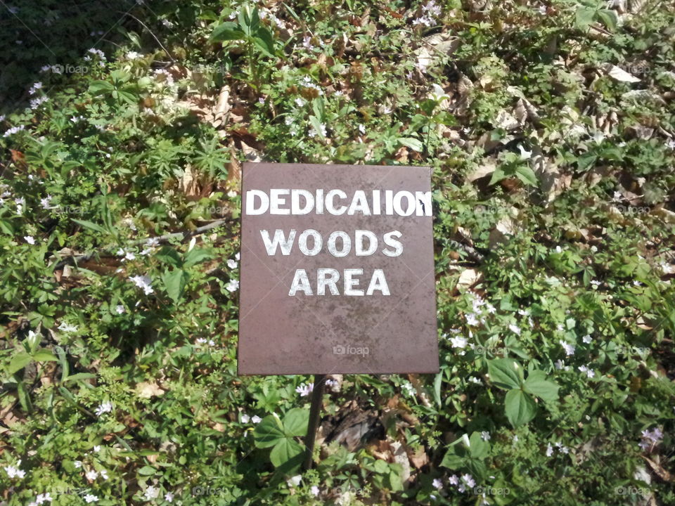 dedication place. a sign to add your own dedication to