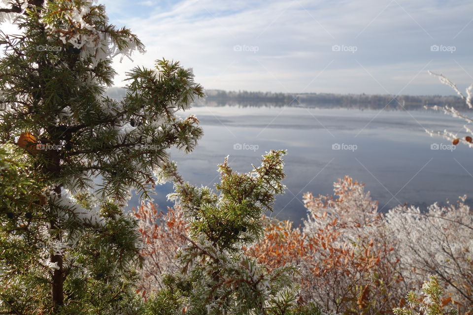 Scenic view of nature