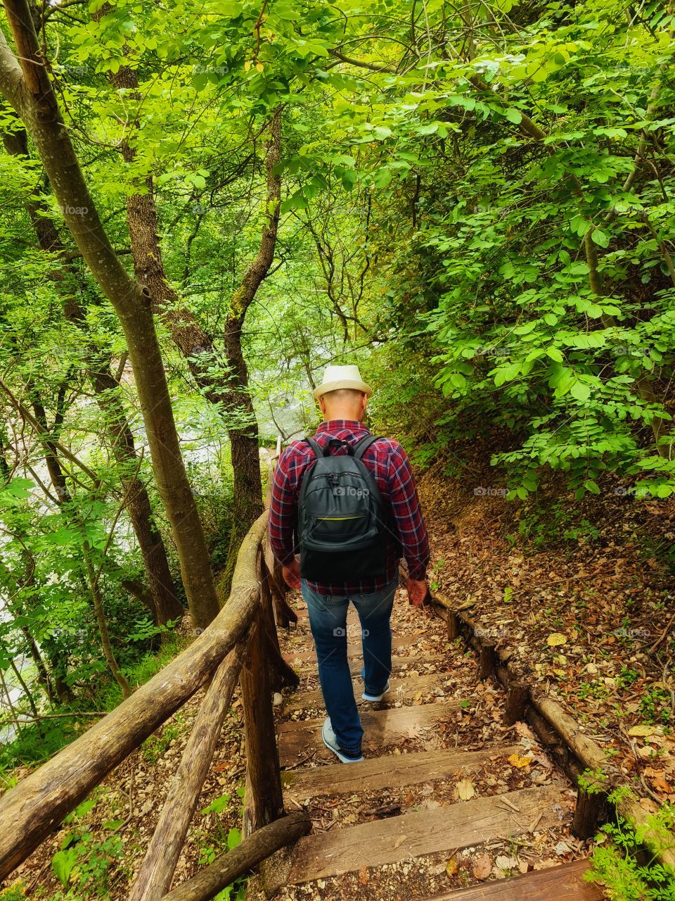 walk in solitude in the woods