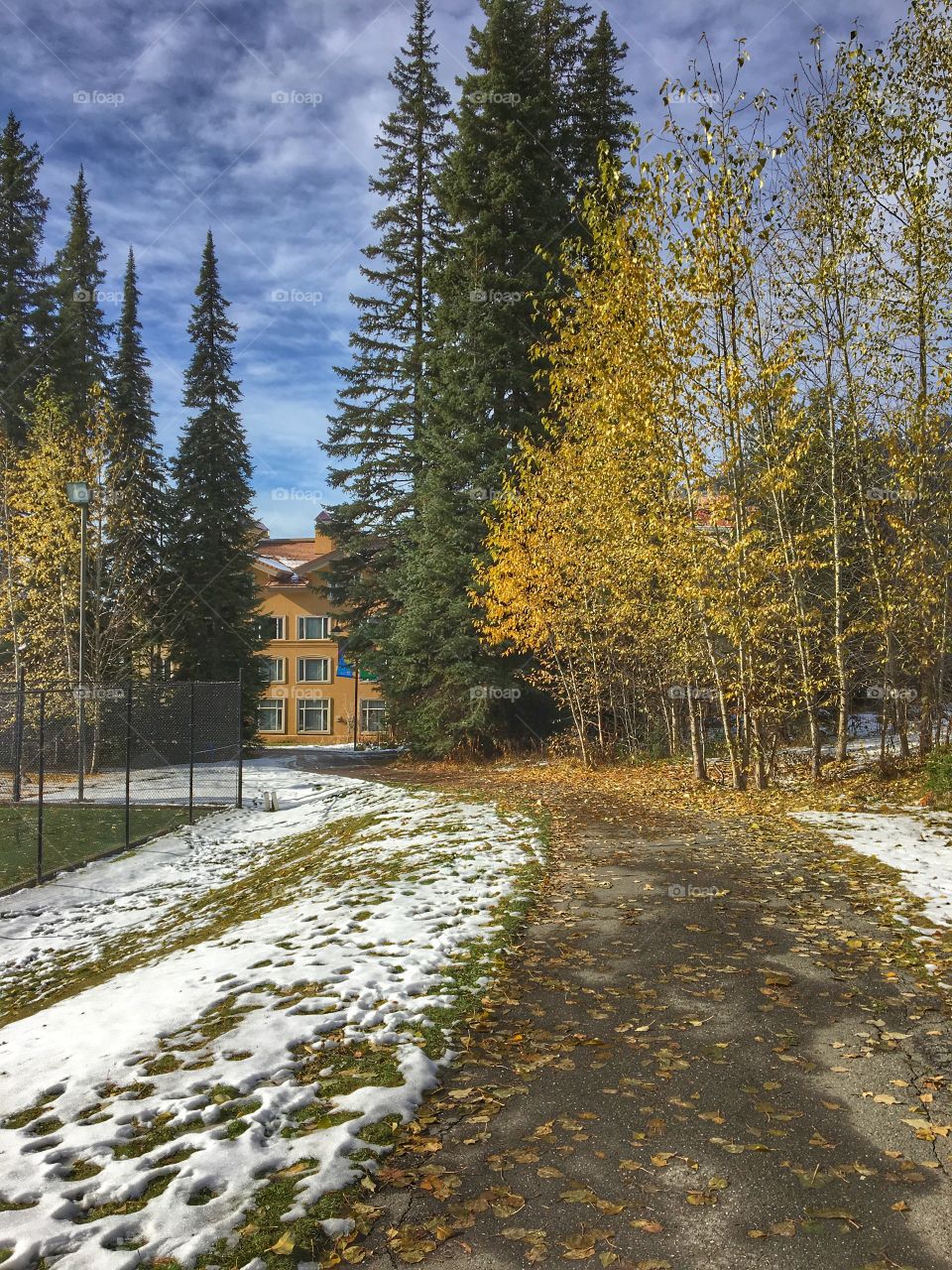 Beautiful autumn day! 