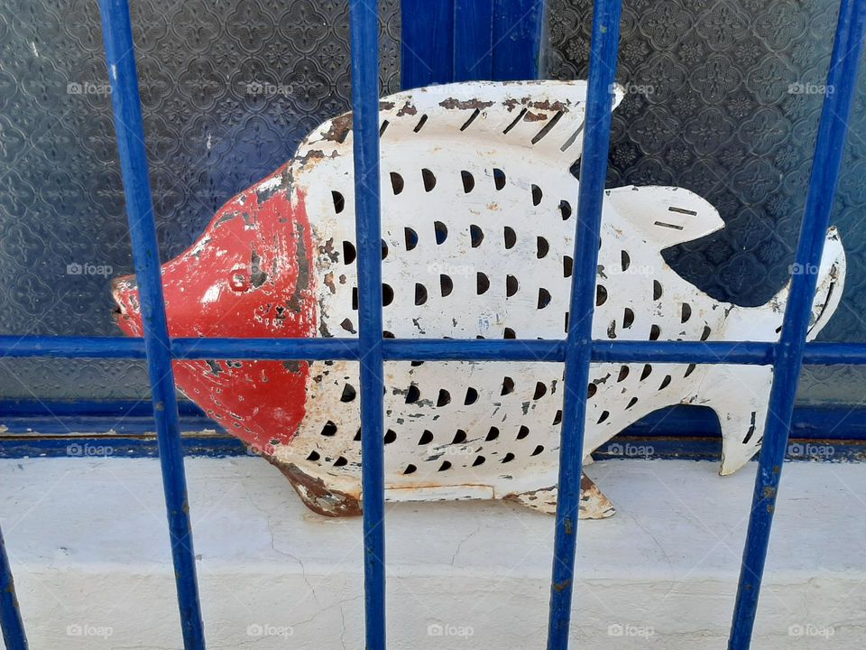 Visual Street Art,  Portugal