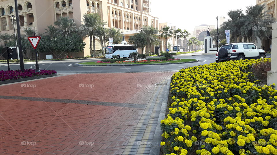 Red street with beautiful landscaping/ Surrounded by luxury hotels and apartments