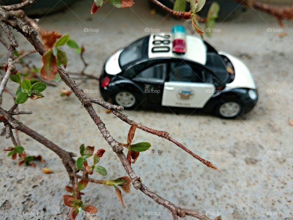 The police in the forest