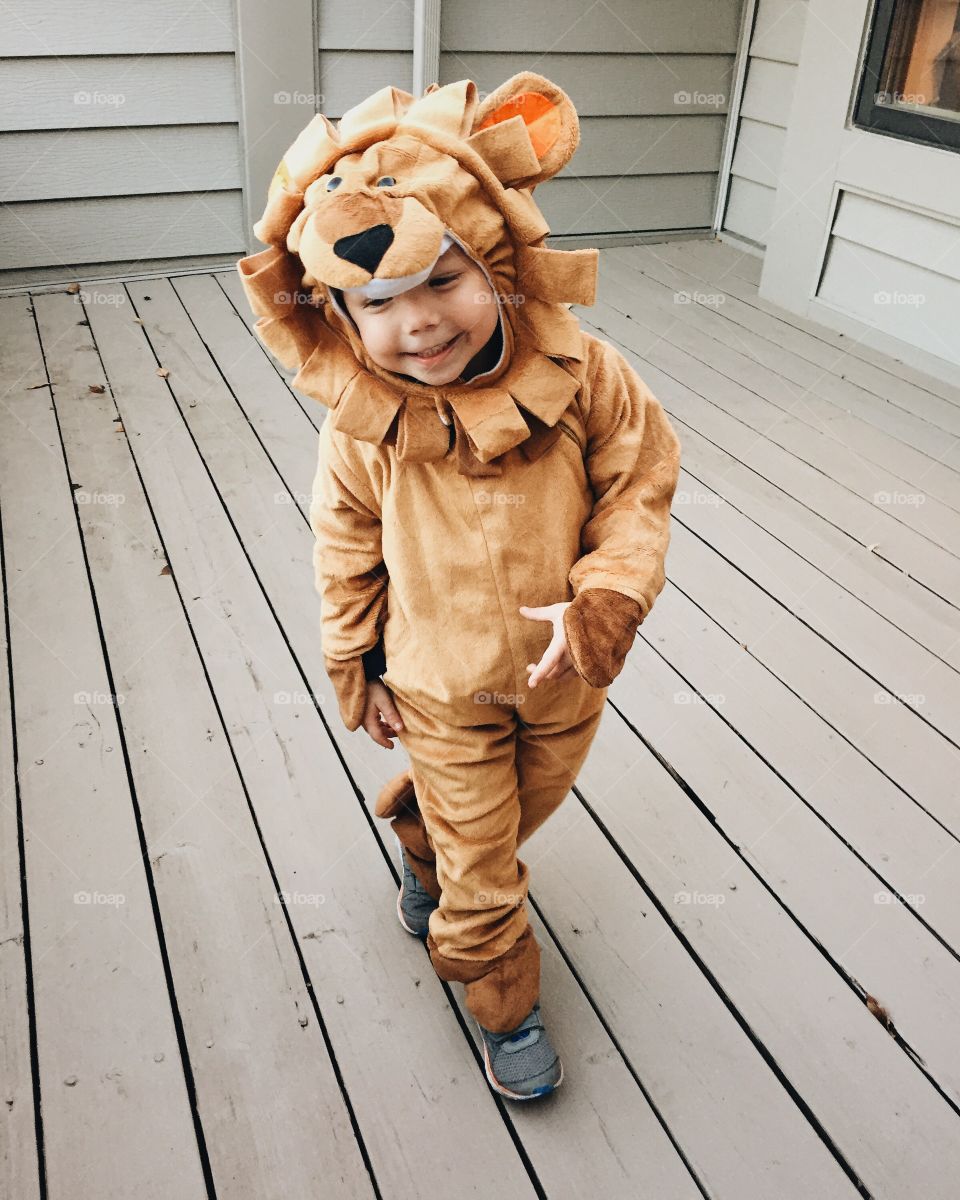 Halloween lion costume