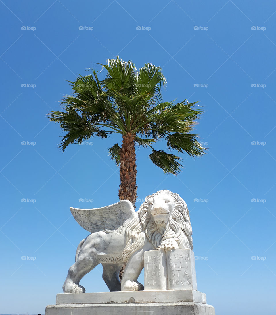 lion sculpture  palm