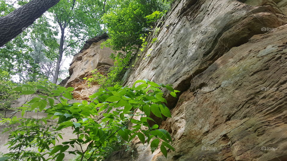 sandstone bluffs and vegetation