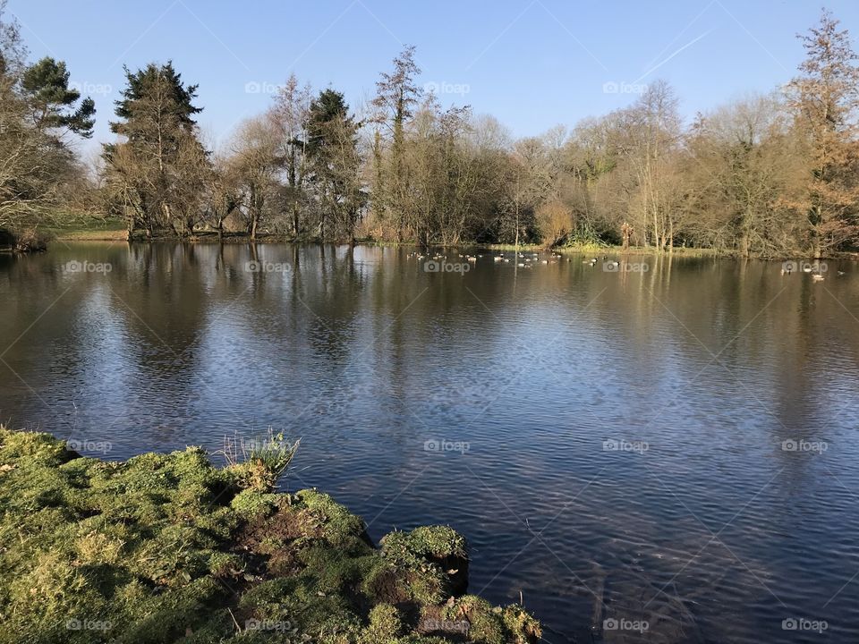 Winters best here at this lovely Devon lake.